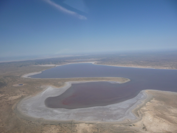 Lake Eyre North in flood